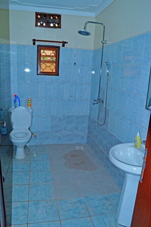 Chuveiro, toalhas de banho, sabonete, papel higiênico