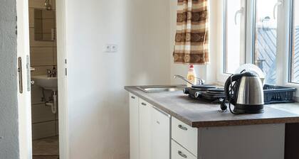 Family Apartment N3 in Abertamy - near Plesivec Ski Slopes, bike/ski storage