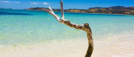 Sun-loungers, beach towels