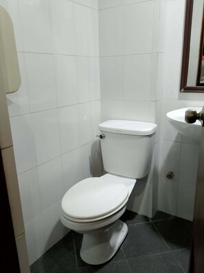 Family Room | Bathroom | Shower, free toiletries, towels, soap