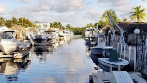 Una marina con barcos amarrados a lo largo de una vía fluvial tranquila, rodeada de palmeras y casas.
