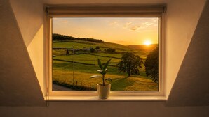 A window with a view of a rural landscape at sunset, a potted plant on the windowsill, and a stone wall in the background.