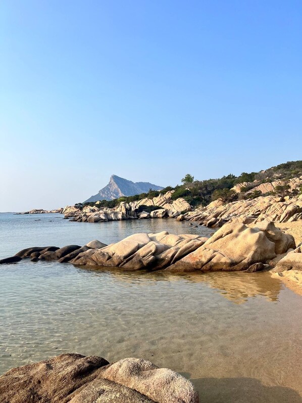 Beach - VILLA FLORA - Relaxation, garden and view of Tavolara (Porto San Paolo)