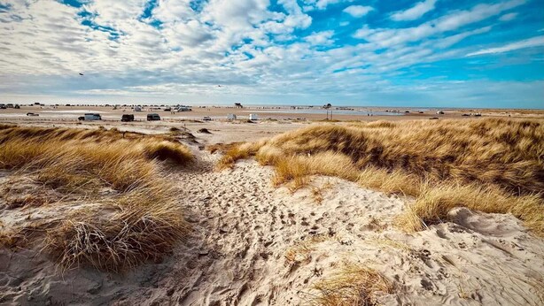 Una playa con dunas de arena y cielo despejado.
