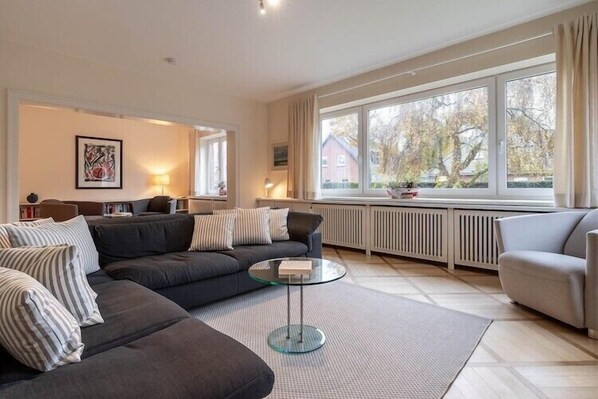 Smart-TV, Kamin