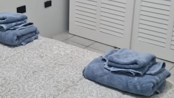 1 chambre, fer et planche Ă  repasser, accĂšs Internet, draps fournis