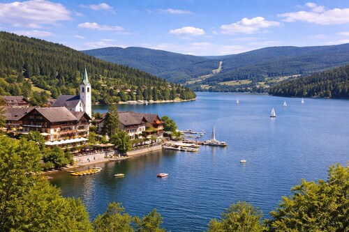 COLUMBUS Apartment for 3 guests at the Swiss Border, 30 Min. Zurich/Rhine Falls