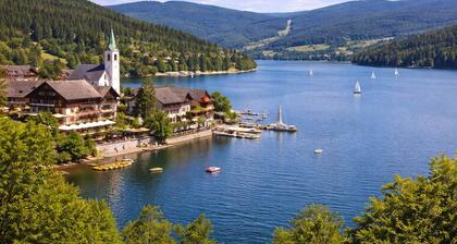 COLUMBUS Apartment for 3 guests at the Swiss Border, 30 Min. Zurich/Rhine Falls