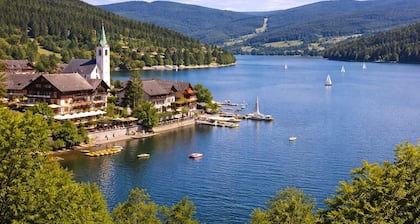 VERDI: Charming apartment for 2 guests in the Zollhaus, near Rhine Falls/Zurich