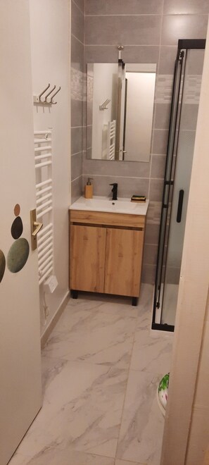 Shower, hair dryer, soap, toilet paper