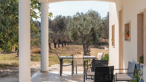 Un patio techado con mobiliario exterior, vistas al campo y una maceta con flores rojas.