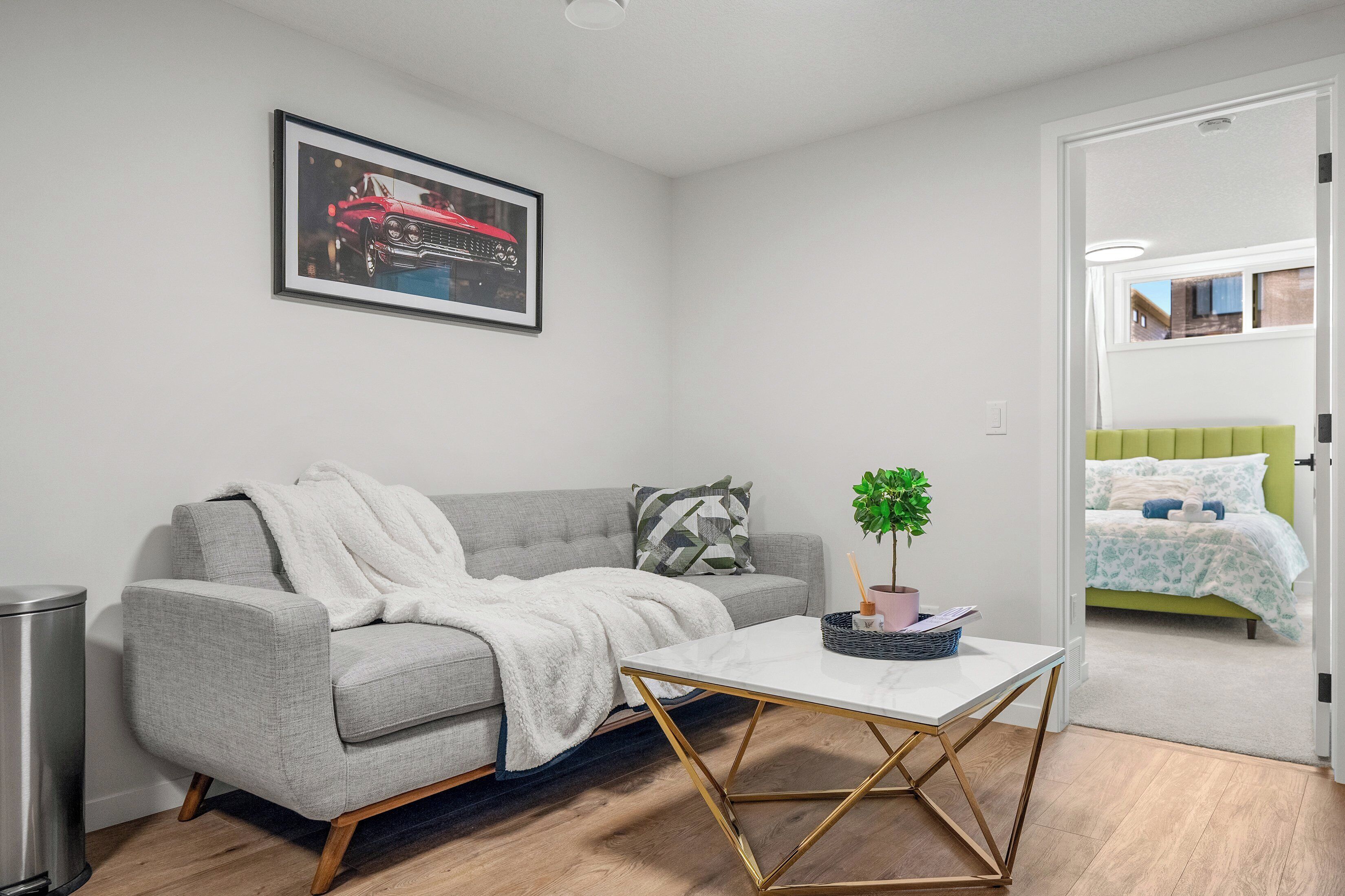 A modern living room with a grey sofa, a white throw blanket, a framed picture on the wall, and a small table with a plant.