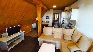 Télévision, baby-foot, table de tennis de table