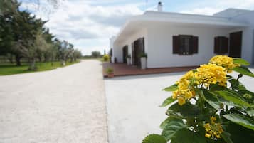 Detalle del exterior