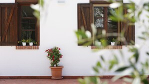 Edifici amb dues finestres, cadascuna amb persianes de fusta i plantes en testos a la finestra.