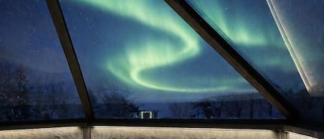 Superior Cabin | View from room