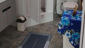 Een kleine badkamer met douche, toilet en wastafel.