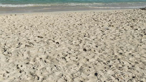 Een zandstrand met voetafdrukken die naar het water leiden, een heldere lucht en een rustige zee.