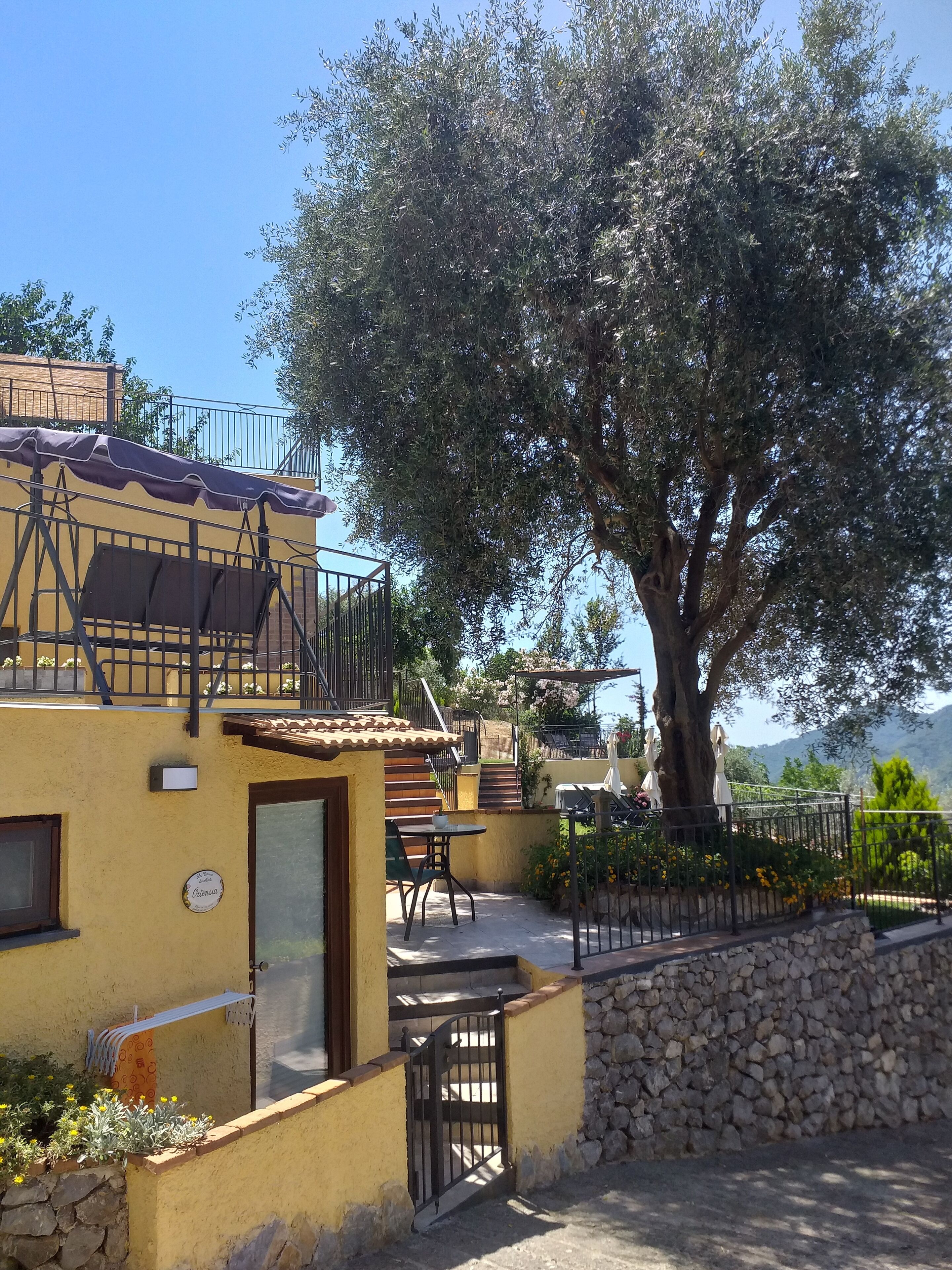 A yellow building with a stone wall, a large tree, outdoor seating, and a staircase.