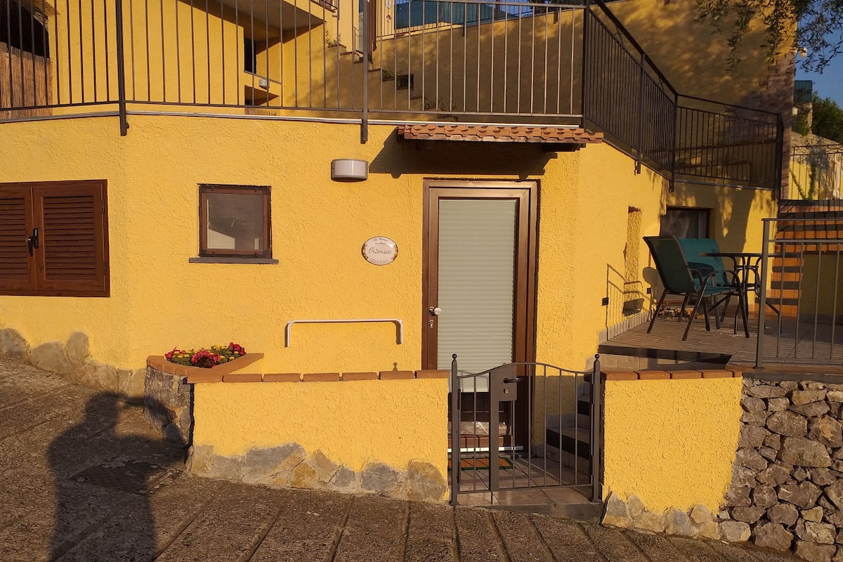 Ortensia | Terraço/pátio