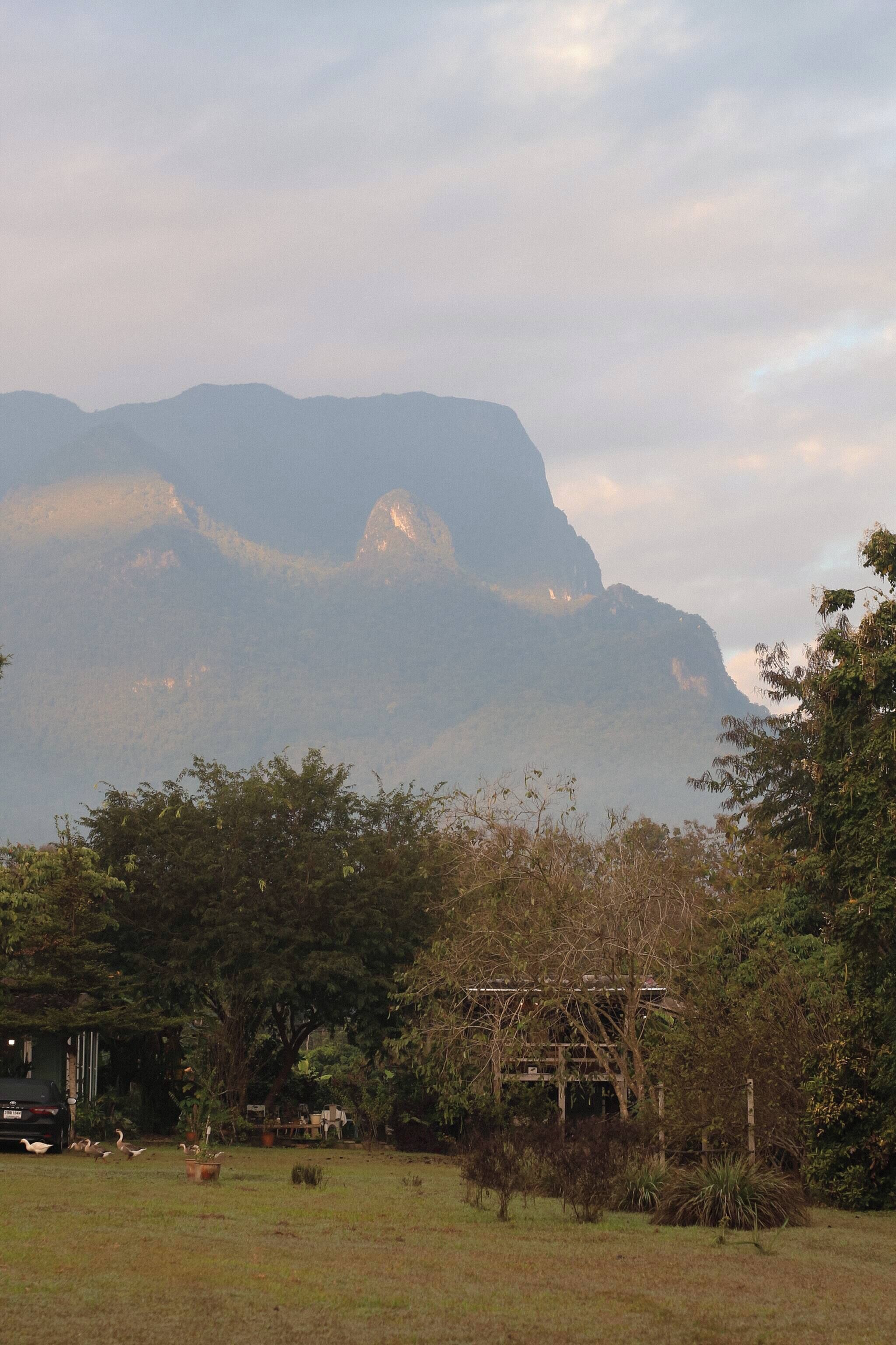 Paisaje rural con una gran montaña al fondo, un edificio pequeño de estructura de madera en primer plano y algunas aves en el suelo.