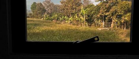 Cabin, 1 Bedroom, Smoking, Balcony | Interior