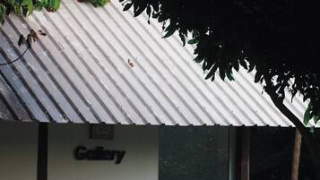 Baita, 1 camera da letto, fumatori, balcone | Dettaglio esterni