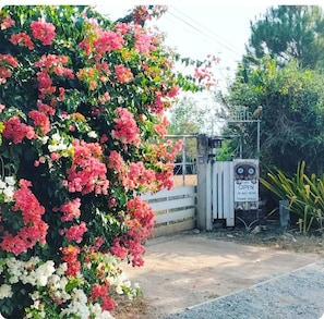 Cabin, 1 Bedroom, Smoking, Balcony | Property grounds - 1-br Cozy Rice Barn With Large Terrace (Chiang Dao)