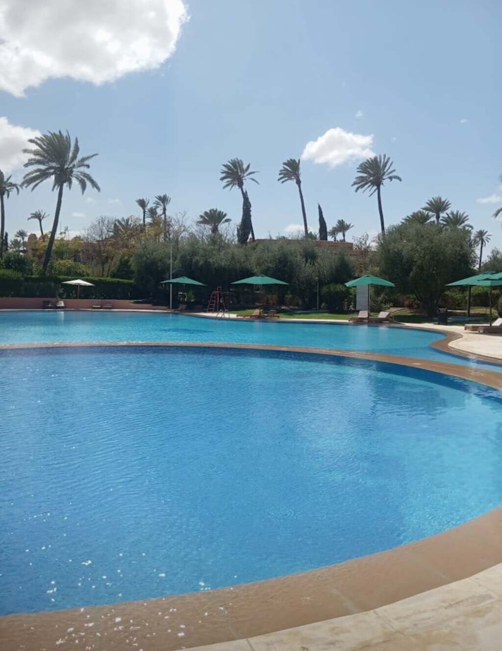 A swimming pool with palm trees and umbrellas in the background.