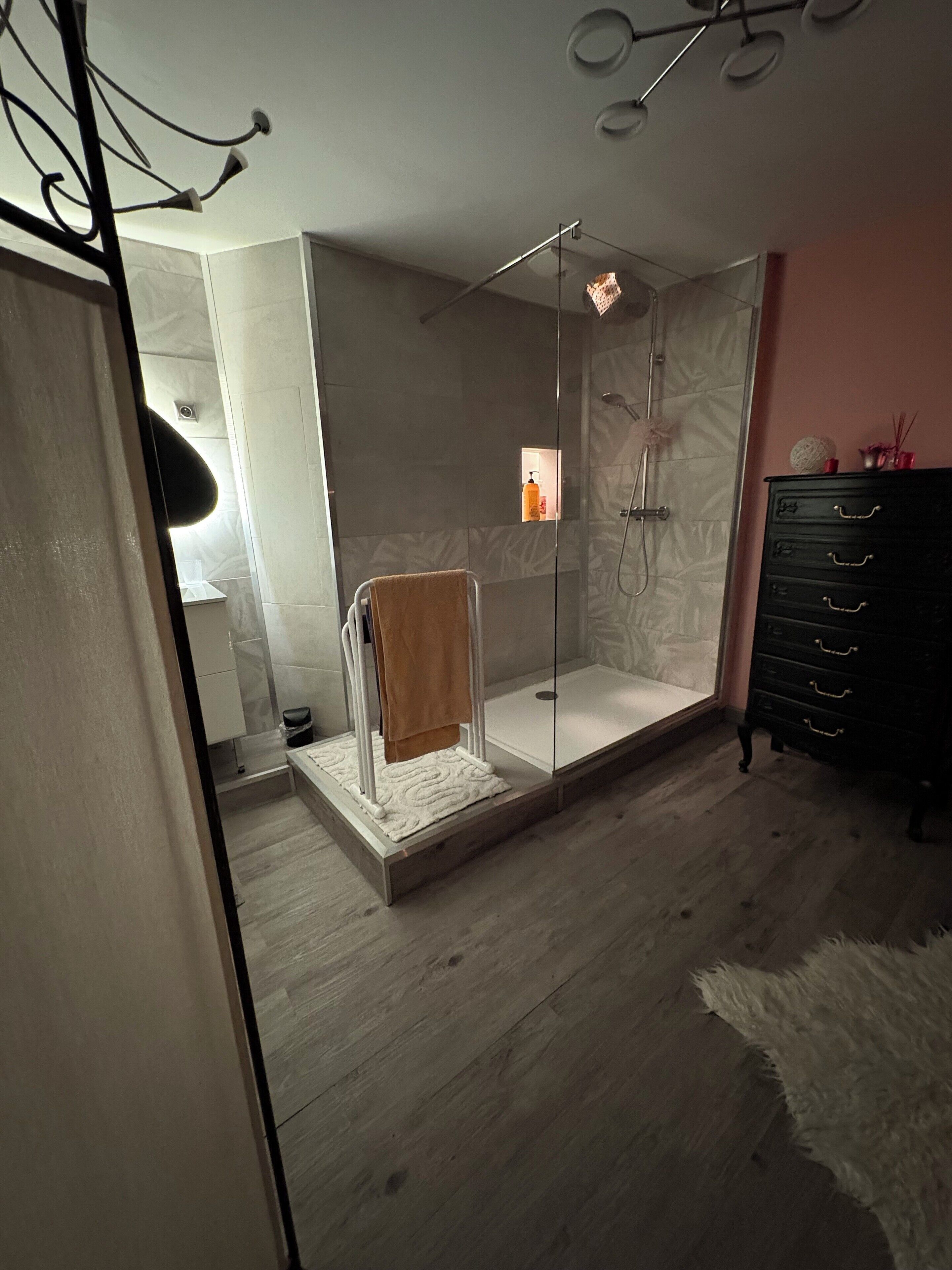 Hair dryer, towels, soap, toilet paper