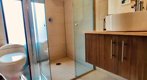 Hair dryer, towels, soap, toilet paper