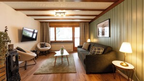 A cozy living room with a fireplace, a sofa, a chair, and a TV. - Forest- finest selections (Zermatt)