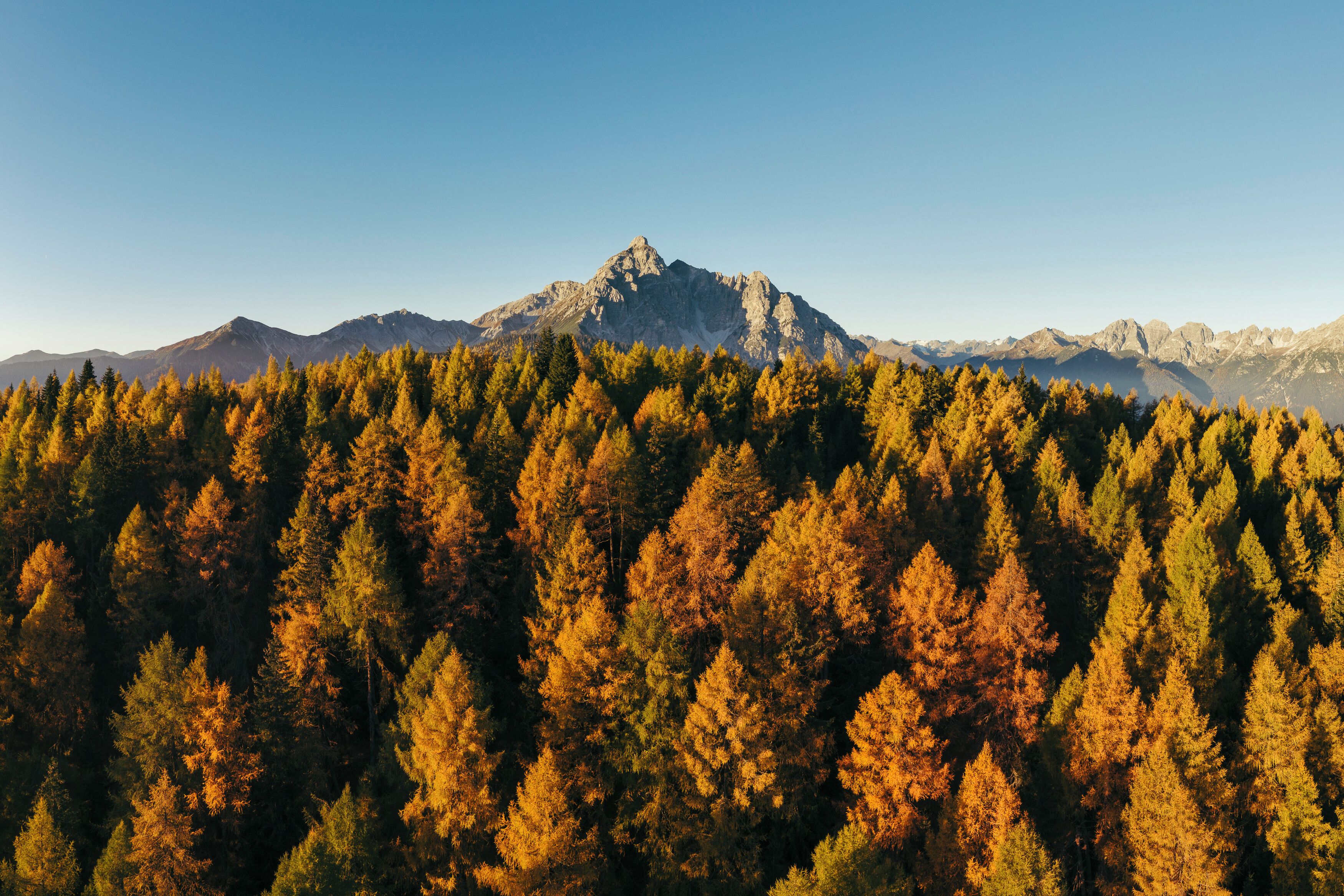 A mountainous landscape with a dense forest in autumn colors.