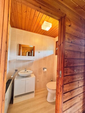 Shower, hair dryer, soap, toilet paper