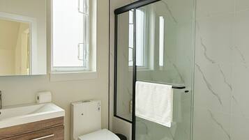 Hair dryer, towels, shampoo, toilet paper