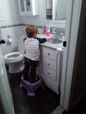 Hair dryer, towels, soap, toilet paper