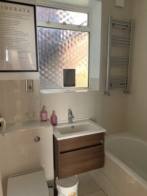 Hair dryer, towels, soap, toilet paper