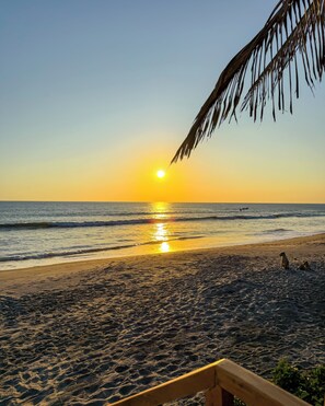 Plage, chaises longues, serviettes de plage
