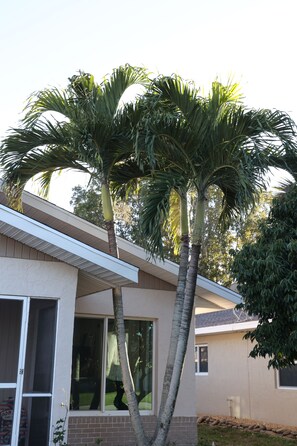 Terrain de l’hébergement 