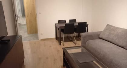 Fully Renovated Condo in Krotoszyn close to Centre, Grocery Store and Free WiFi