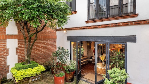 A courtyard with a brick wall, a tree, and potted plants.