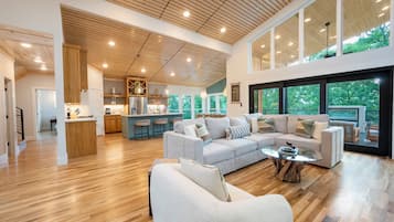 Smart TV, fireplace, video games