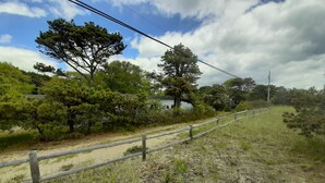 A grassy area with a wooden fence, trees, and a building in the background.