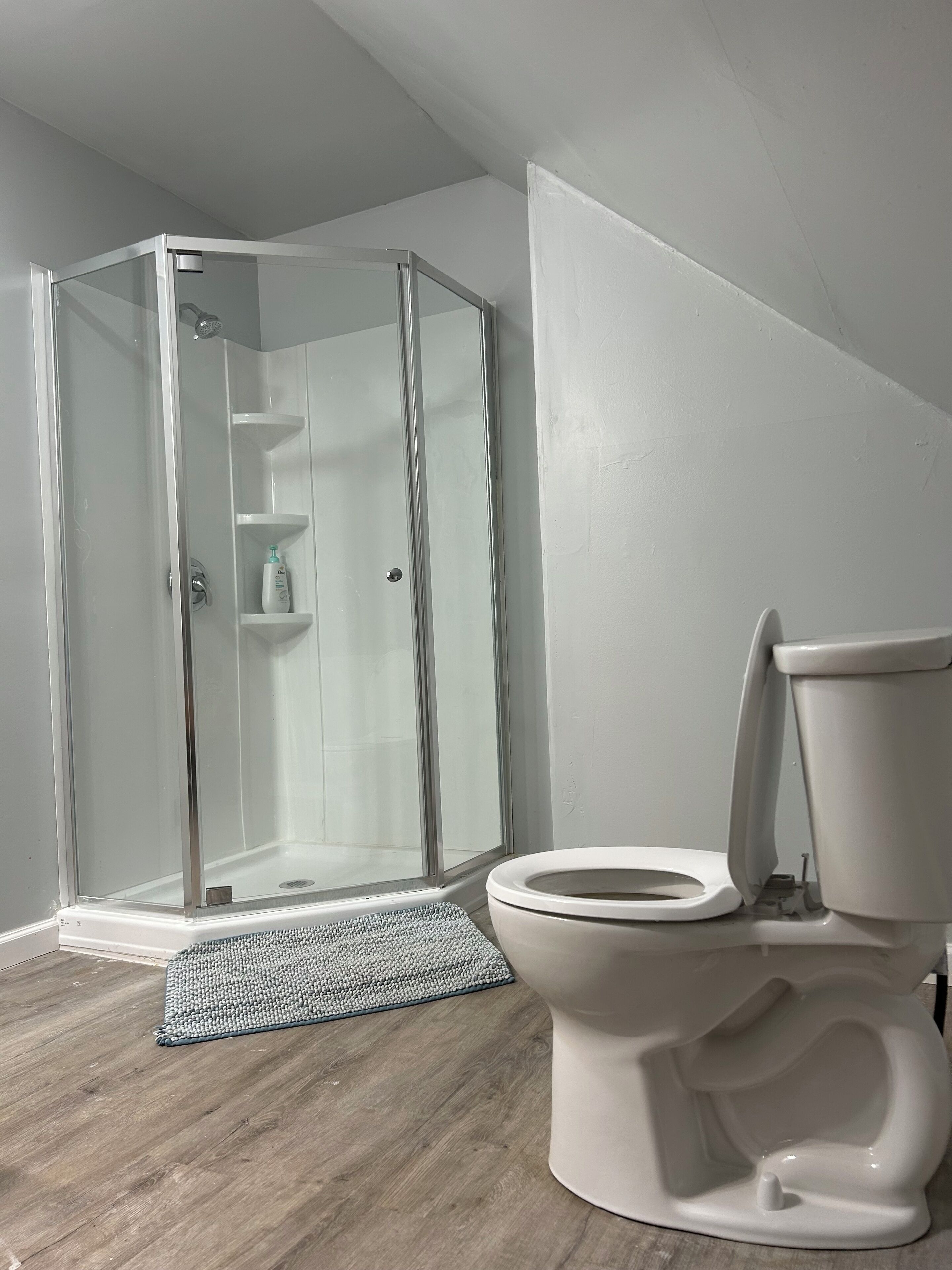 Een haardroger, handdoeken, zeep, toiletpapier