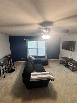 تلفزيون، مدفأة