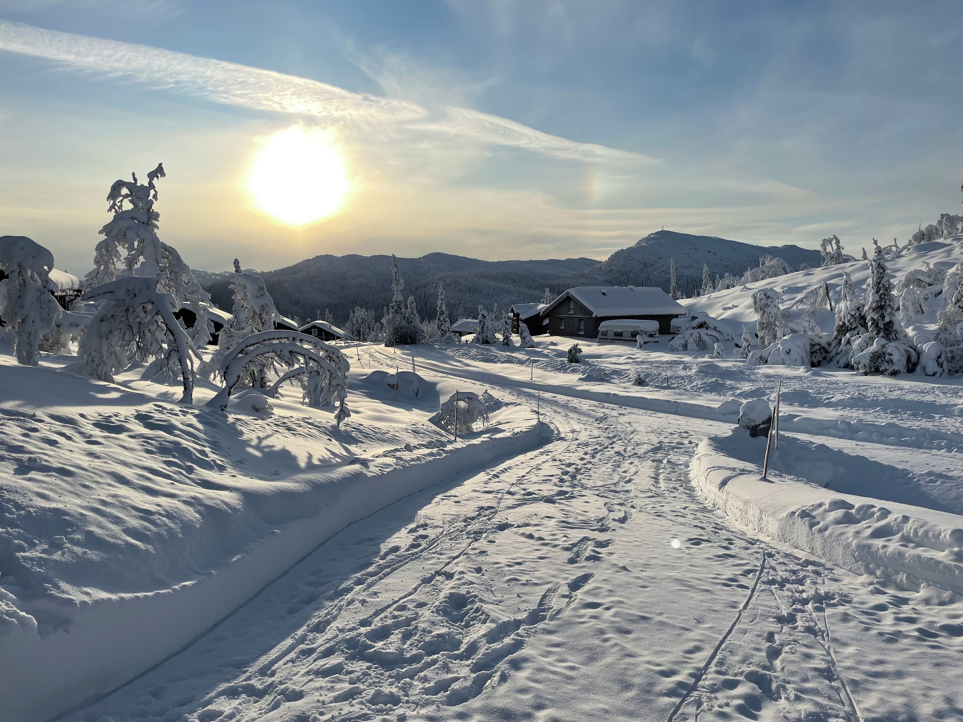 A snowy landscape with a house and trees covered in snow.