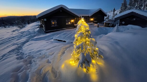 A snow-covered landscape with a lit Christmas tree in the foreground and wooden cabins in the background.
