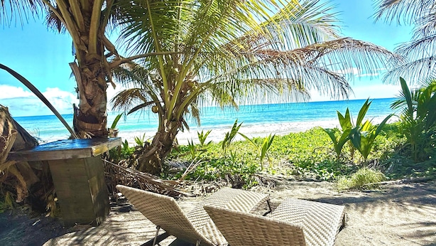 Wicker lounge chairs on a sandy beach with a palm tree and ocean view. - Stay Local at Your Beachfront Casa in Paradise (Maunabo)