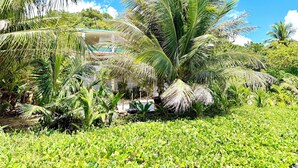 A lush tropical garden with palm trees and a white building with a blue roof. - Stay Local at Your Beachfront Casa in Paradise (Maunabo)