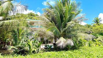 Área da propriedade